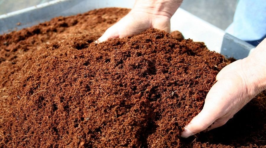 Premium Coco Peat for Better Plant Growth