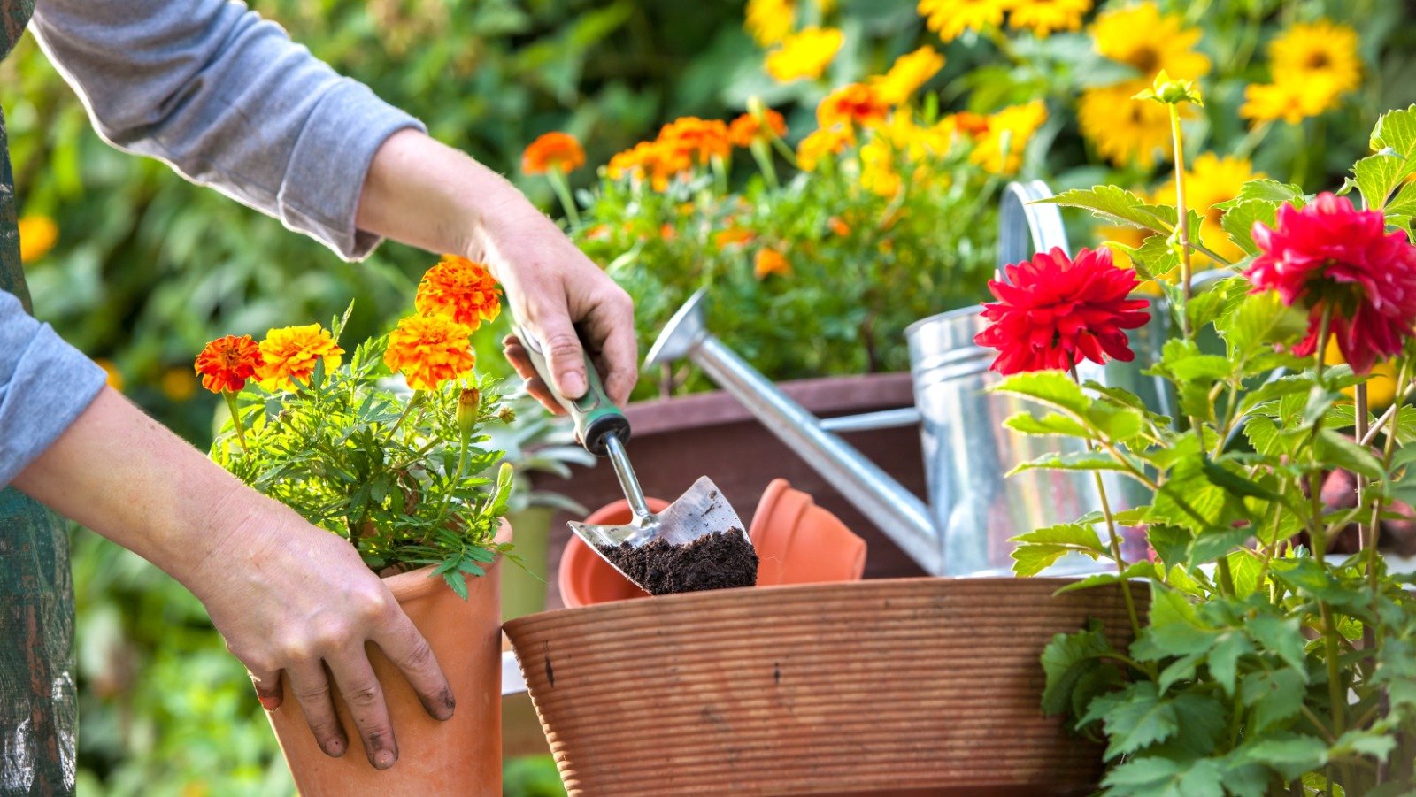 Complete Garden Kit for Home Gardening