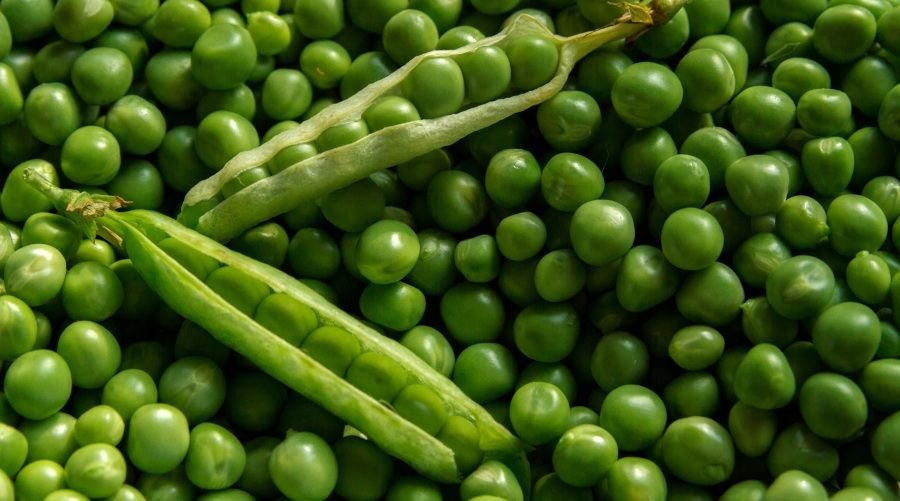 Molasses-Based Potash for Sustainable Agriculture